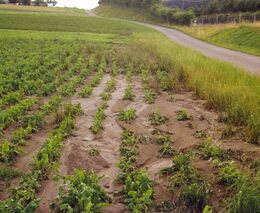 MŽP ve formě dotací poskytne 200 milionů korun na protierozní opatření v krajině