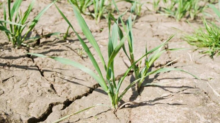 Meteorologové kvůli suchu dál rozšířili výstrahu na nebezpečí požárů