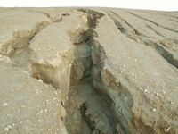 Chránit přírodu, to znamená v ní dobře hospodařit