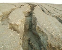 Karel Zvářal: Tichá voda nám ornici odnáší