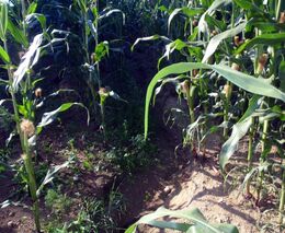 Seminář: Změna erozní ohroženosti od roku 2019