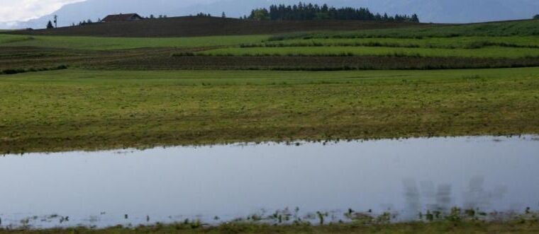 Neprávem opomíjené trubky