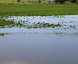 Předběžná zpráva o vyhodnocení povodně v září 2024: Klíčem byla včasná a správná předpověď