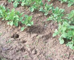 Spotřebováváme vodu, která se hromadila staletí. „Ale co bude za dvacet let?“