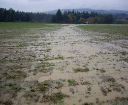 Týden podle PH č. 46 - 2020 (pH týdne: 5)