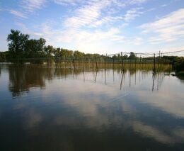 Poučení z povodní