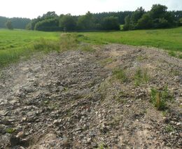 Týden v zemědělství podle Petra Havla - č. 1