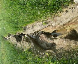 Společné stanovisko zemědělských organizací k protierozní vyhlášce