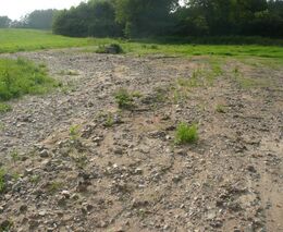 I přes zmírnění jsme v Česku stále nejpřísnější v EU, hodnotí farmáři protierozní opatření