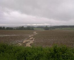 Vyvlastňování kvůli povodním. Vláda to zváží, říká ministr zemědělství