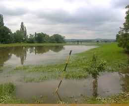 Škody po povodních nahlásilo přes zemědělský fond 549 zemědělců ve výši 1,8 mld.