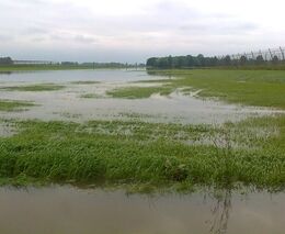 Zemědělci mohou začít žádat o dotace na povodňové škody od 1. září