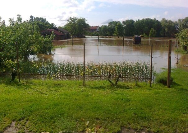 Co se děje s půdou a rostlinami na zatopených pozemcích?