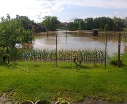 Co se děje s půdou a rostlinami na zatopených pozemcích?