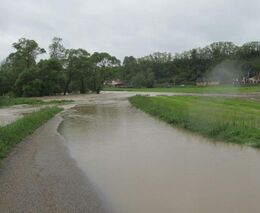 Týden v zemědělství podle Petra Havla - č. 38