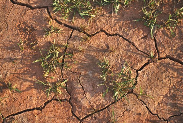 Jižní Morava má naději klimatickou krizi ustát. Výzkum modeluje extrémní scénáře v šesti obcích