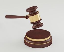 Ministr Nekula popsal postup vymáhání dotací pro Agrofert. Soud nevyloučil