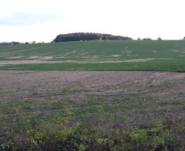 Rekordní rok eroze půdy: Přispívá k ní změna klimatu i nešetrné zemědělství