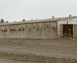 Základní atributy podoby socialismu před rokem 1989 se vracejí