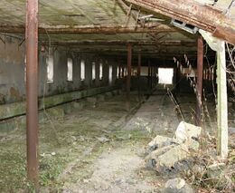 NKÚ: Likvidace státních podniků trvá i víc než 20 let, některé ztěžují spory 