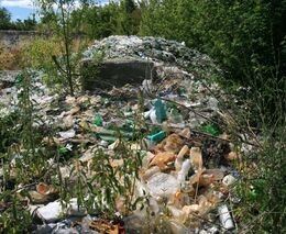 Petr Svoboda: Koronavirus jako vzkaz přírody lidstvu