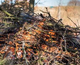 Spálená Austrálie. Požáry zlikvidovaly téměř všechny unikátní ekosystémy na kontinentu
