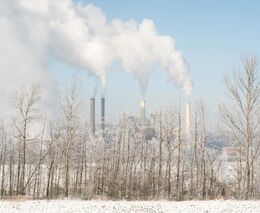 Ekologové: Znečišťovatelé loni vypustili více karcinogenů, nejvíce Spolana