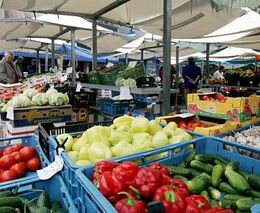 Stát může tlumit nárazy. Zvyšování cen ale nakonec musí zaplatit spotřebitelé, říká zemědělec Štefl