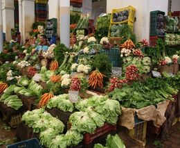 AFP: Tunisané umějí pěstovat zeleninu na písčitých záhonech v lagunách