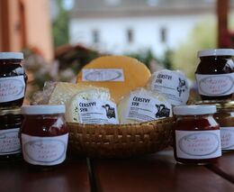 Fiala: Ve vládě nevidím vůli k zásahům do daně z přidané hodnoty