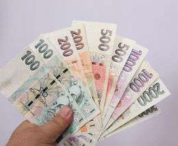 Korupční aféra na zemědělství: Úředník měl statisíce v tašce, druhý v trezoru