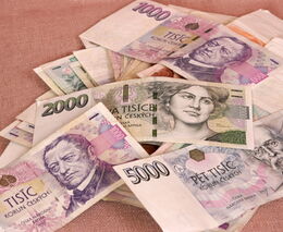 Návrhy ASZ ČR na využití mimořádných financí prostřednictvím PGRLF