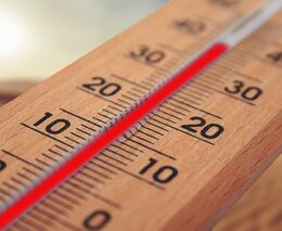 Klimatická změna už ničí Česko. EU proto pomáhá penězi na lesy, nebo vodu