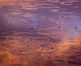 Meteorologové z ČHMÚ začnou vydávat předpověď i na 45 dnů a sezonní na půl roku