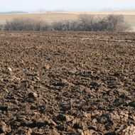 Z Česka odtéká nejúrodnější půda za miliardy. Ochrana slábne, varují ekologové