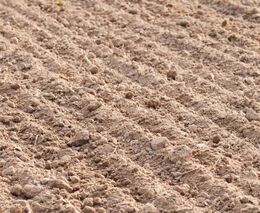 Asociace a Mezinárodní rok půdy