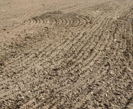 V Česku možná bude platit zákaz prodeje zemědělské půdy do tzv. třetích zemí 