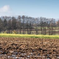 InterSucho: Vody v půdě je dost, ale někde méně, než je pro toto období obvyklé