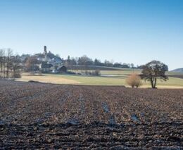 Týden podle PH č. 10 - 2017 (pH týdne: 4)
