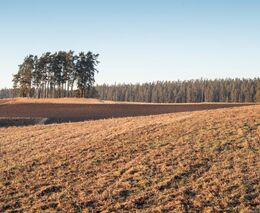Šéf Asociace soukromého zemědělství: Růst pachtovného zvýšila daň z nemovitostí