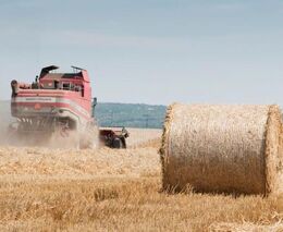 Žně jsou pomalejší než loni, zatím sklizena devítina loňských míst