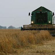 Dřívější sklizeň i jiné pěstební postupy. Zemědělci bojují s proměnou klimatu