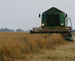 Noční klid v období žní - informace