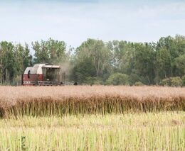 Bývalý prezident Agrární komory ČR Jan Veleba: České zemědělství je na rozcestí, je třeba konat!