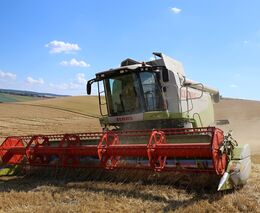 Sklizeň obilovin bude nižší než loni, očekávají statistici. Zemědělci jsou optimističtější