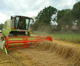 Ve středních Čechách je sklizena téměř všechna řepka, obilí zhruba z poloviny