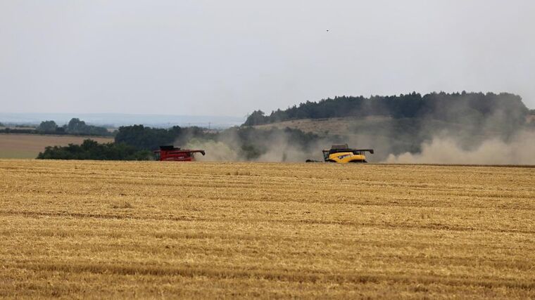 Týden v zemědělství podle Petra Havla – č. 35