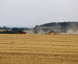 Týden v zemědělství podle Petra Havla – č. 35