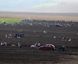 Podzimní samosběry vrcholí. Kvůli velkému zájmu už mnohde sklidili