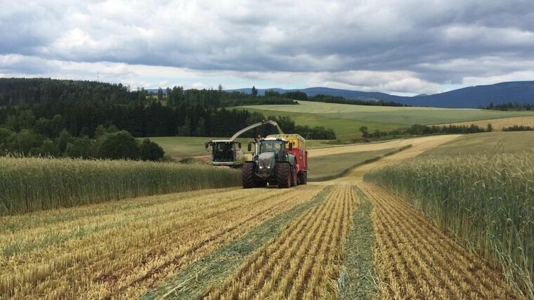 Ministerstvo chce brát peníze malým farmářům a dát je agroholdingům, zní od soukromých zemědělců